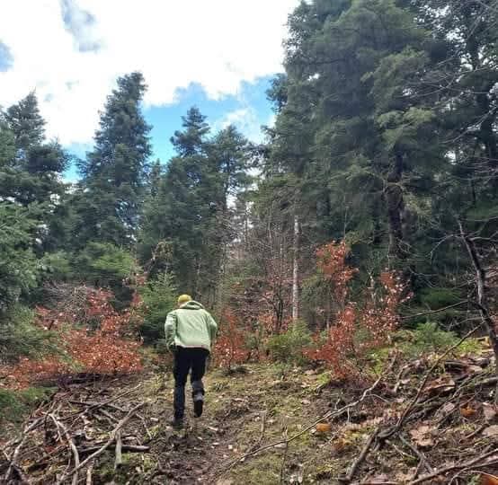 Nomads Cooking & Truffle Hunting